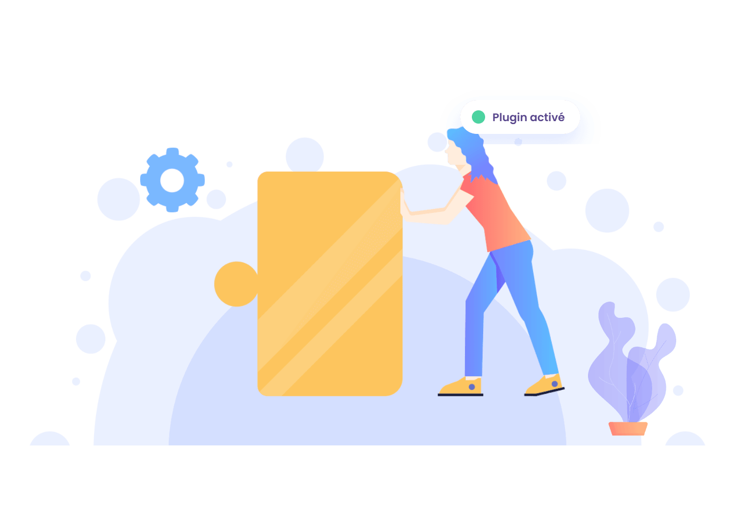 Illustration : Plugins WordPress sur mesure